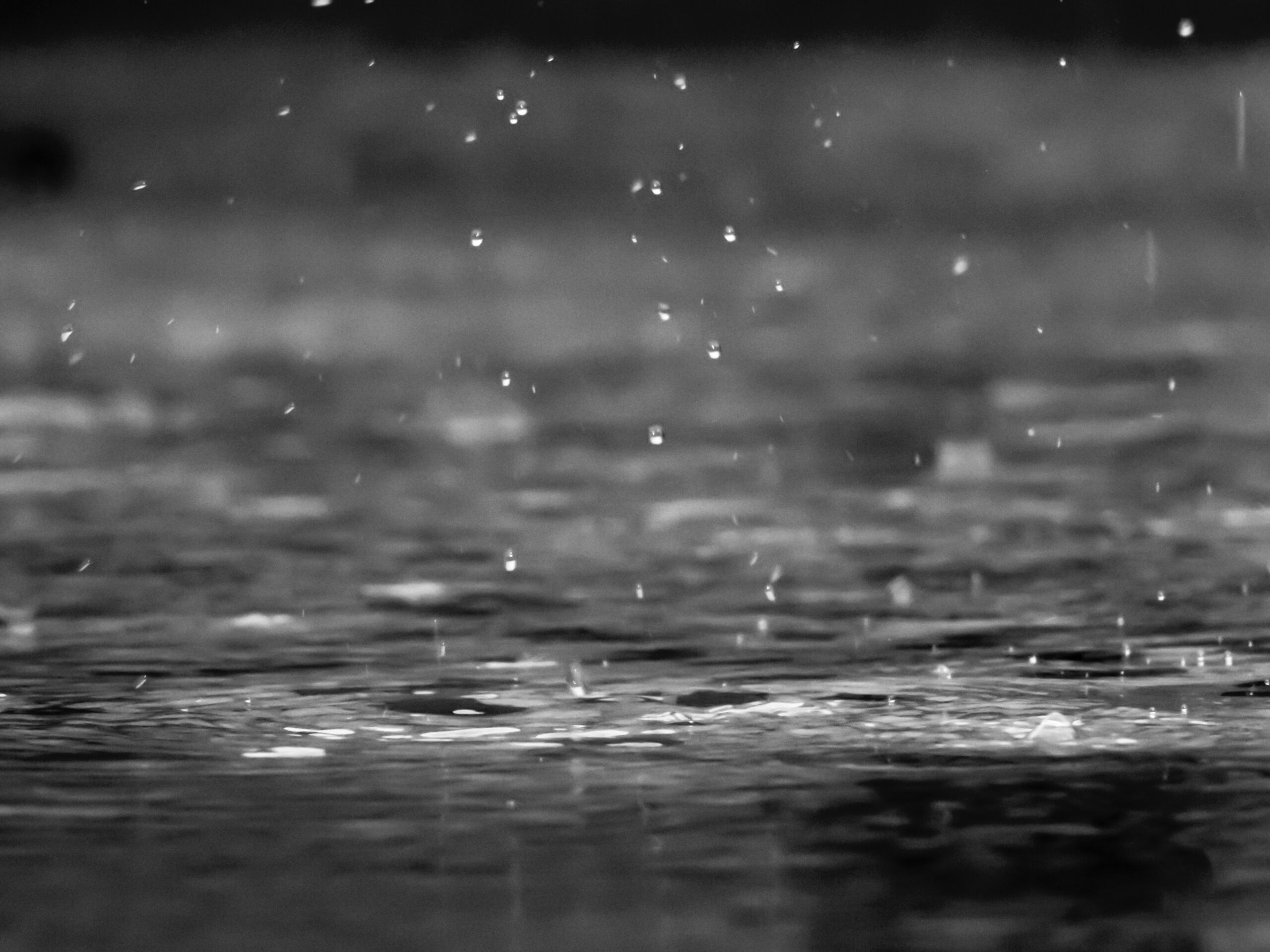 Rain falling into puddle